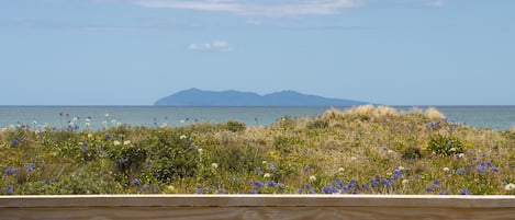 Utsikt mot havet/stranden