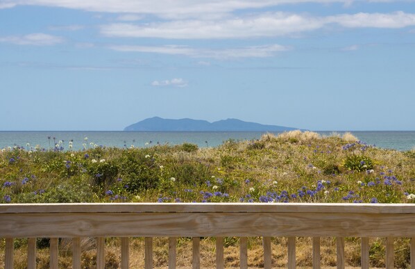 View of Mayor Island 