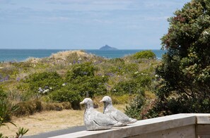 View of Karewa Island 