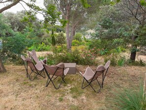Plante, Table, Communauté Des Plantes, Ombre, Chaise, Arbre, Paysage Naturel, Mobilier De Jardin, Tableau De Plein Air, Suppression Des Plantes Ligneuses