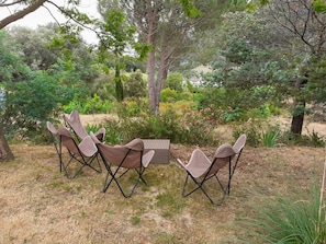 Plante, Table, Communauté Des Plantes, Ombre, Chaise, Arbre, Paysage Naturel, Mobilier De Jardin, Tableau De Plein Air, Suppression Des Plantes Ligneuses