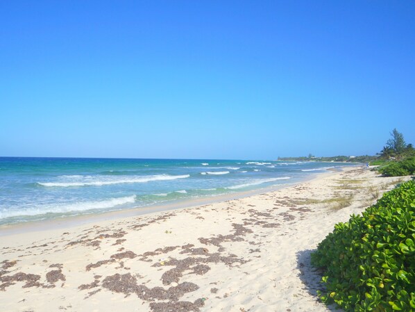 Strand