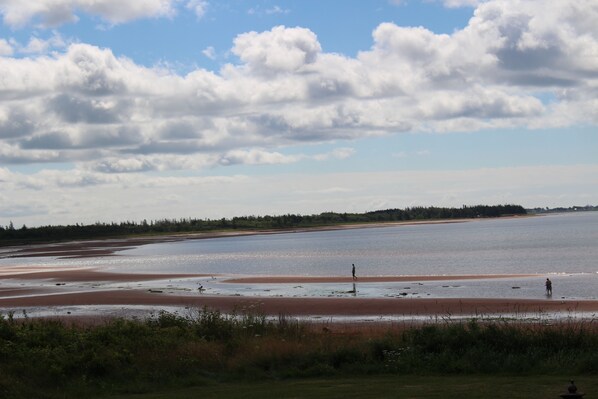 Ranta