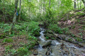 Mountain spring fed creek behind cabin. Walking path to creek. Relax and enjoy!