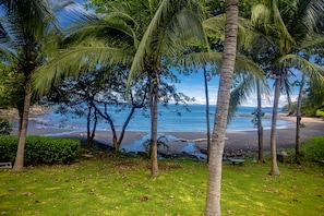 Enjoy the peace &  tranquility of our secluded black sand beach (Playa Azul)