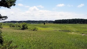 Wonderful tidal marsh views