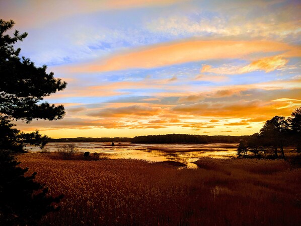 Beautiful sunsets over the tidal marsh