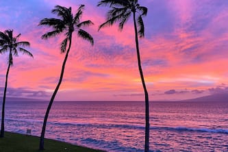Breathtaking oceanfront 1bd condo with upgrades