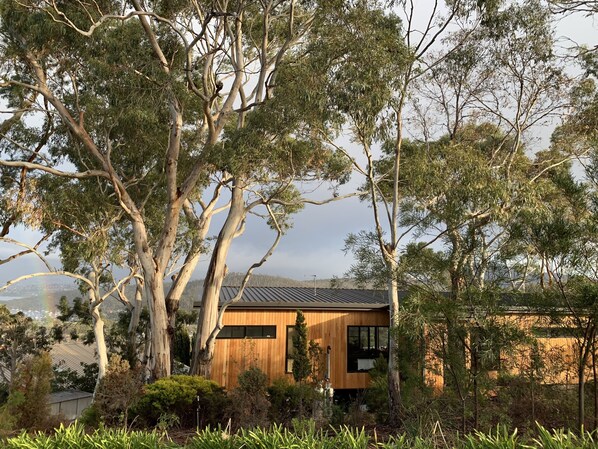 Welcome to our home amongst the trees