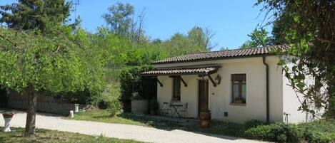 Plante, Propriété, Bâtiment, Paysage Naturel, Arbre, Lot Terre, Maison, Chalet, Paysage, Zone Résidentielle