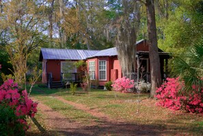 NE corner -March Azaleas- pre-Covid