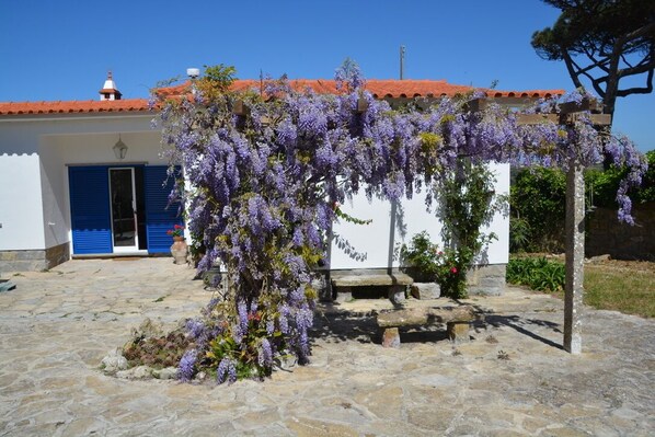 Main House, in Spring, is Wisteria time
