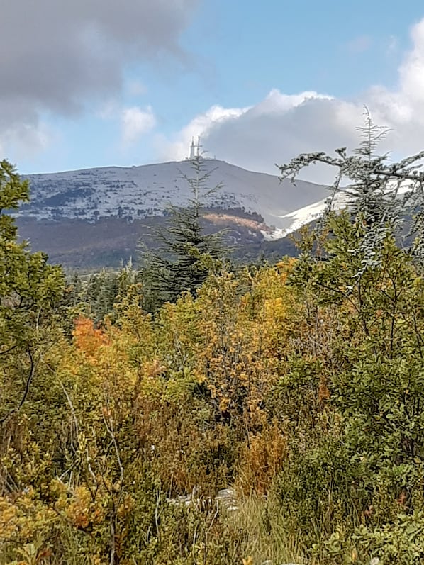 Boendeområde