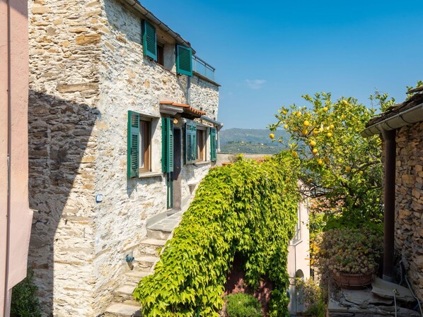 Plante, Ciel, Propriété, Bâtiment, Fenêtre, Bleu Azur, Architecture, Nuage, Surface De La Route