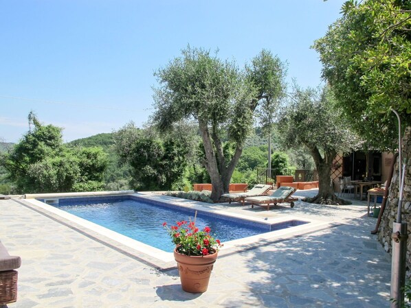Schwimmbad, Blumentopf, Möbel, Gartenmöbel, Flagstone, Resort, Schatten, Zimmerpflanze, Stuhl, Eco Hotel