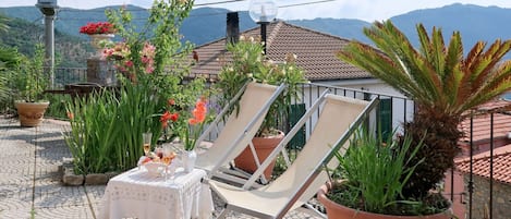 Proprietà, Casa, Immobiliare, Zona Residenziale, Cortile, Pianta, Backyard, Paesaggio, Erba, Albero