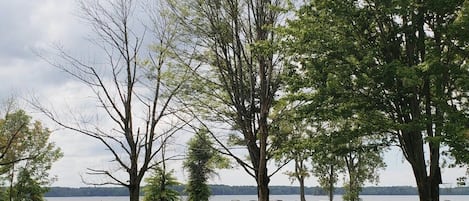 Lakefront view of Docks 