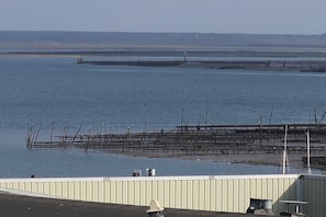 Vue depuis l’hébergement