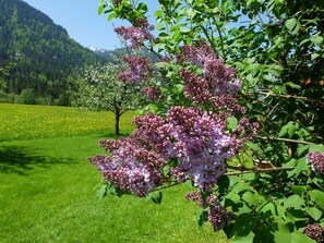 Pension Oberhauser