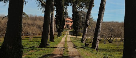 Jardines del alojamiento