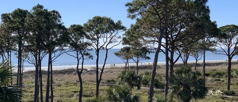  View from balcony!
Second back from ocean front