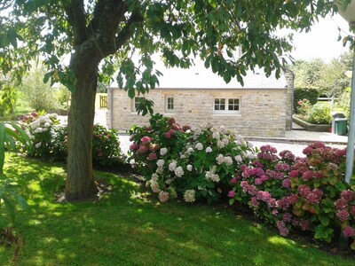 Charming cottage with a veranda facing south overlooking an orchard.