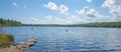 The lake in the summer.