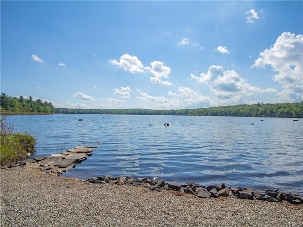 The lake in the summer.