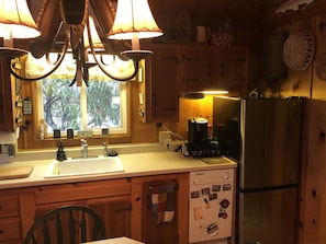 Kitchen showing dishwasher and fridge