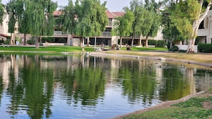 Esterni