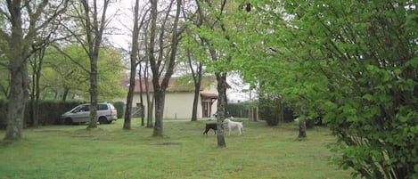 Terrein van de accommodatie