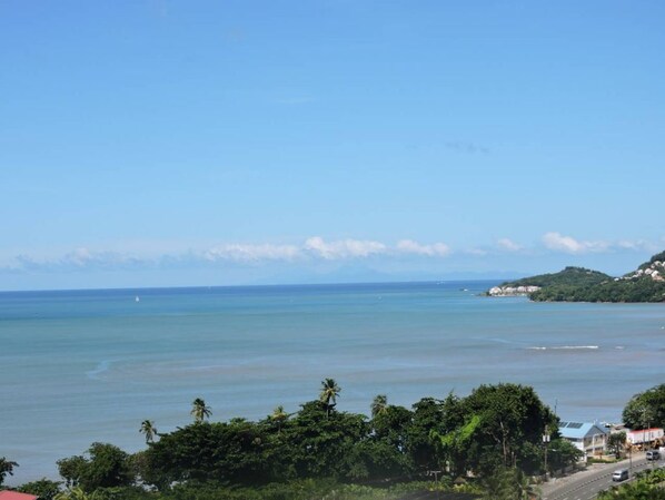 Beach/ocean view