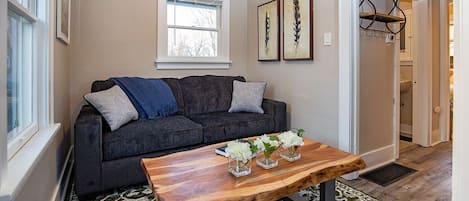 Living Room with Pull-out Sofa