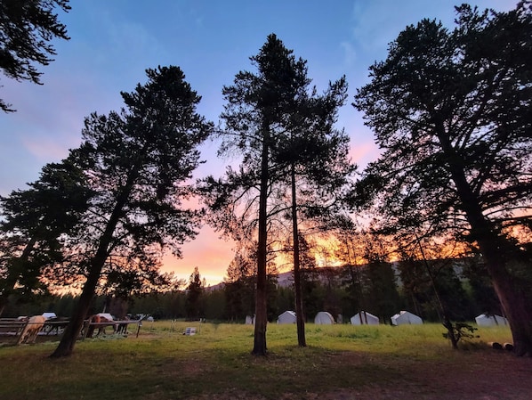 Sunrise from the cook tent!