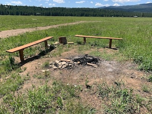 Fire pit with benches out the back door