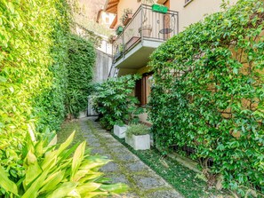 Green, Shrub, Groundcover, Garden, Hedge, Yard, Backyard, Landscaping, Courtyard, Herb