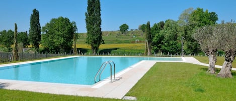 Piscina, Proprietà, Erba, Immobiliare, Estate, Casa, Villa, Tempo Libero, Lotto, Albero