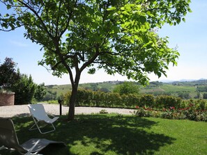 Plant, Sky, Green, Shade, Tree, Natural Landscape, Outdoor Furniture, Table, Vegetation, Sunlight