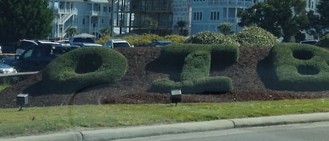 Welcome to Ocean Isle Beach!