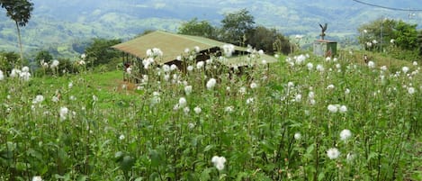 Terrenos do alojamento