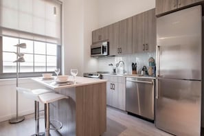 Downtown/South End Boston Studio Kitchen