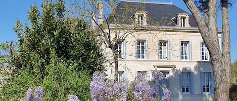 The Logis in spring with Wisteria.