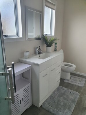 Shower, Toilet and Laundry