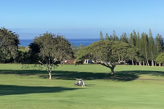 Beautiful Ocean & Golf course views at this Kapalua Golf Villa, discounted 2024
