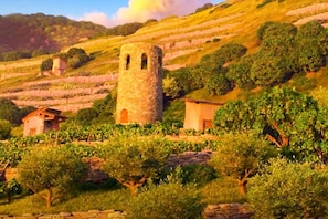 Site dâintĂ©rĂȘt