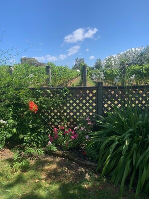 Courtyard view