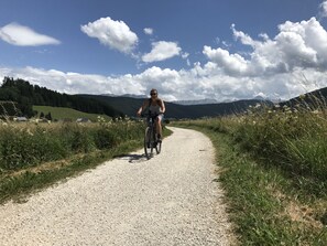 Cycling over the special bike roads which have recently been made (Via Vercors)