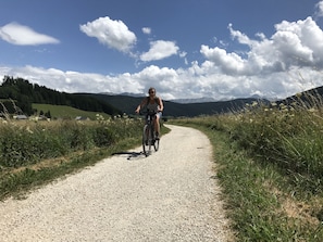 Cycling over the special bike roads which have recently been made (Via Vercors)