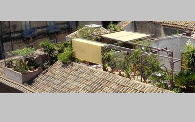 Roof garden