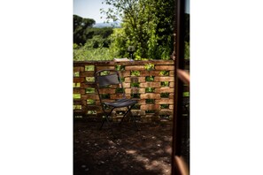 Plante, Meubles, Chaise, Rectangle, Bois, Paysage Naturel, Arbre, Herbe, Tronc, Police De Caractère